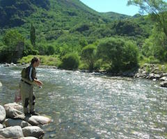 La Comunidad de Madrid facilita el ejercicio de la pesca en los ríos de la región